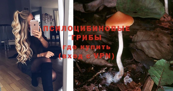 герыч Верея